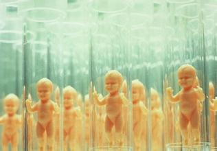 体外受精 IVF-ET